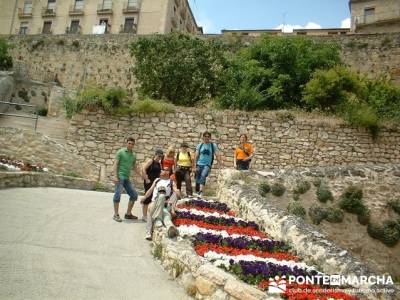 Visita guiada Sepúlveda -Hoces del Río Duratón; rutas en bici por la sierra de madrid